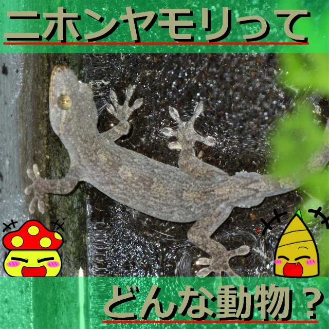 Thumbnail of post image 031